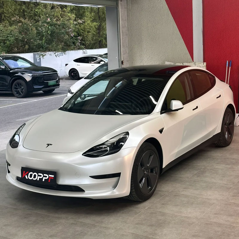 k067-lys-gris-congel&eacute;